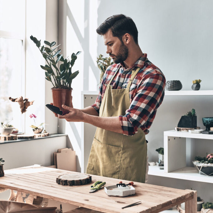 Small business owner. Handsome young man in apron holding potted plant while standing in small garden center